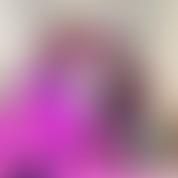 FLOW! Amsterdam workshop