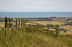 Farm