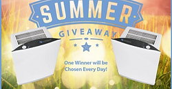 The Sweepstakes Chick