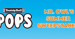The Sweepstakes Chick