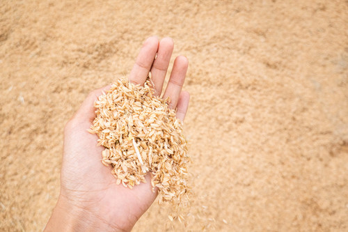 令和7年度 上久野産コシヒカリ(玄米)30kg(島根県雲南市) | 三島ファーム