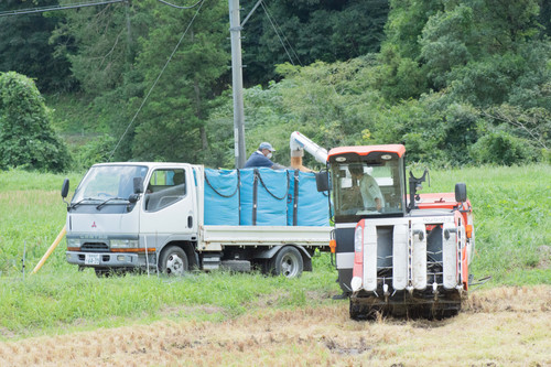 令和7年度 上久野産コシヒカリ(玄米)30kg(島根県雲南市) | 三島ファーム