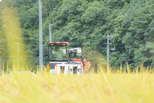 令和7年度 上久野産コシヒカリ(玄米)30kg(島根県雲南市) | 三島ファーム