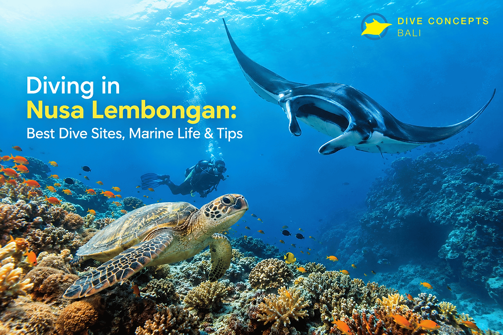 Diving in Nusa Lembongan: Best Dive Sites, Marine Life & Tips