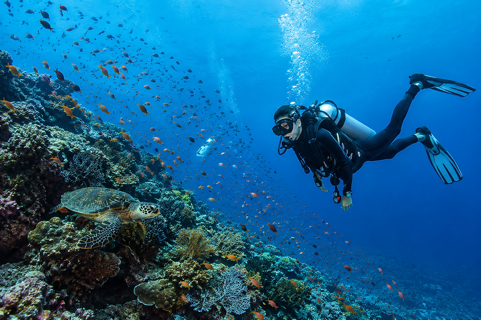 Scuba diver exploring a vibrant coral reef in Tulamben, Bali surrounded by tropical fish, sea turtle, and colorful marine life.