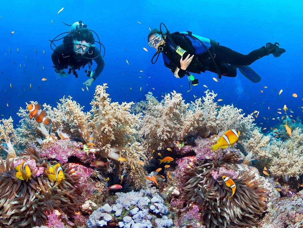 Lembongan diving and Menjangan diving safety guide for tourists planning underwater adventures.