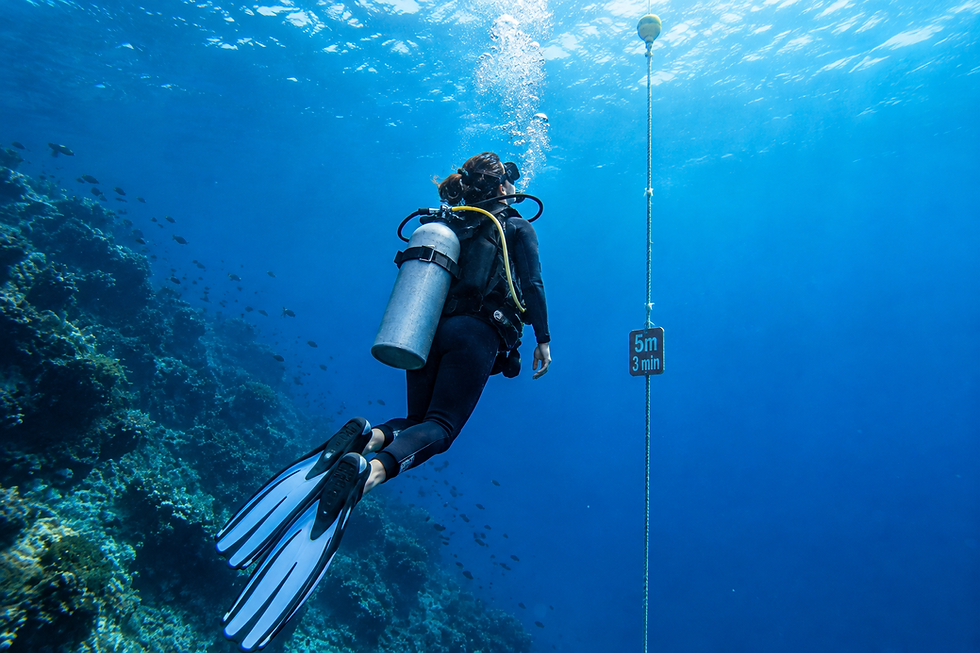 The second rule is to ascend slowly and maintain control throughout your return to the surface. When you descend, increasing pressure compresses the air in your body and diving equipment. As you ascend, that air expands. A rapid ascent can increase the risk of lung injuries and decompression sickness, which occurs when dissolved gases form harmful bubbles in the body.