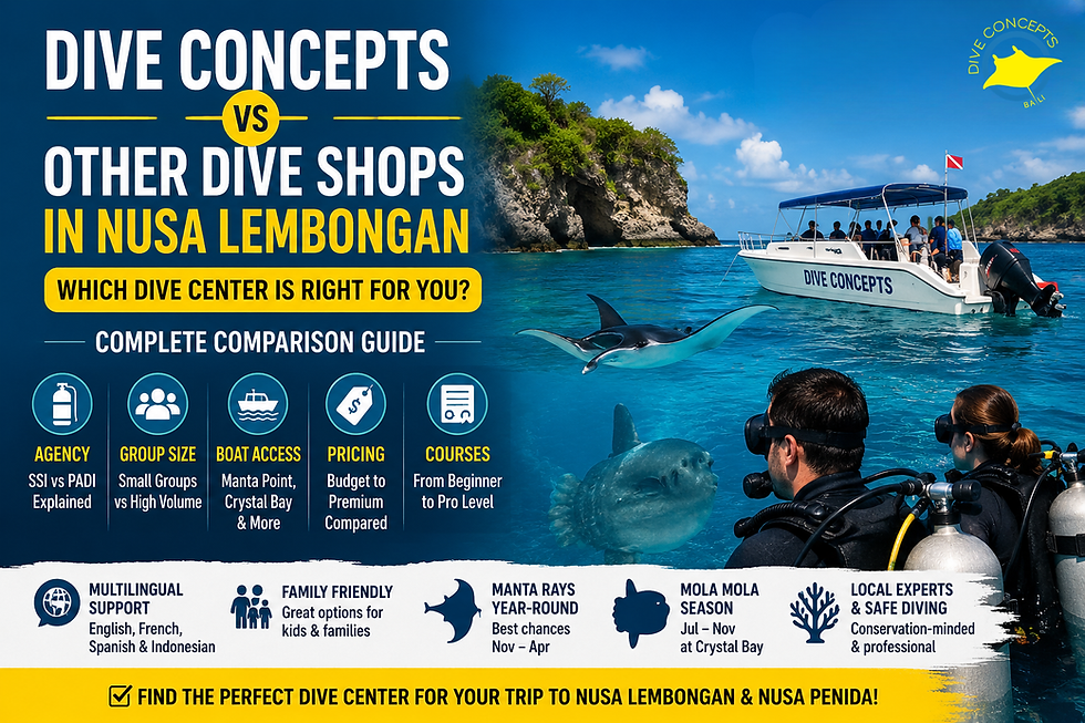 How Does Dive Concepts Compare to Other Dive Centers on Nusa Lembongan?