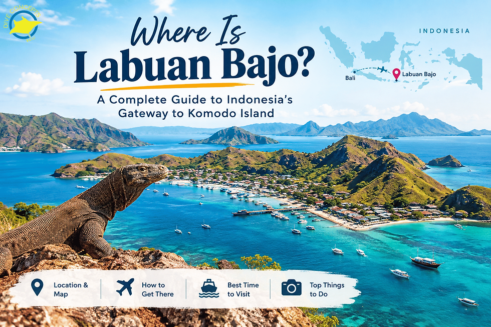 Batu Bolong Dive Site: Depth, Currents & Marine Life Guide