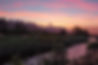 CarbonClear_Landscape5.jpg