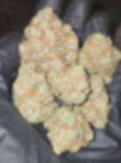 LA Purp