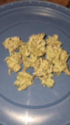 Outdoor gg4 1 oz 