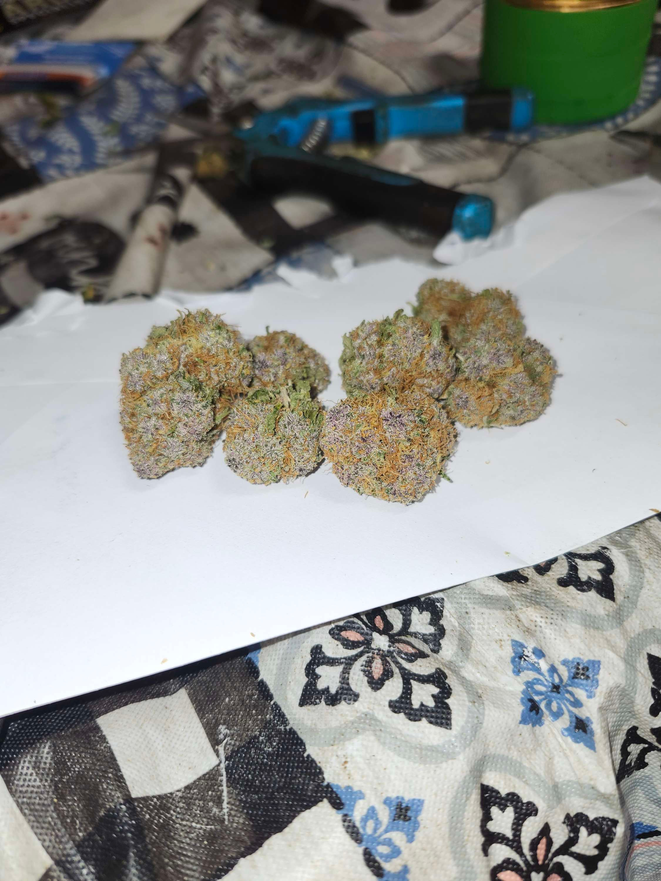 Tropicana Cherries "sativa"