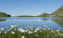 Lac du Lou
