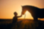 HHC2-AdobeStock_645983179.jpeg