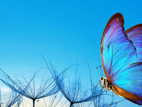 RECONSTRUCTION & PLANNING - THE 6TH LEVEL OF THE CONSCIOUS EVOLVER