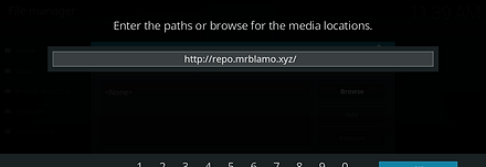 Enter the following URL exactly: http://repo.illuminatitemple.xyz then click OK