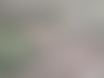 Encuentran cadáver de fémina en Sabana Larga, Nueva Armenia Francisco Morazán