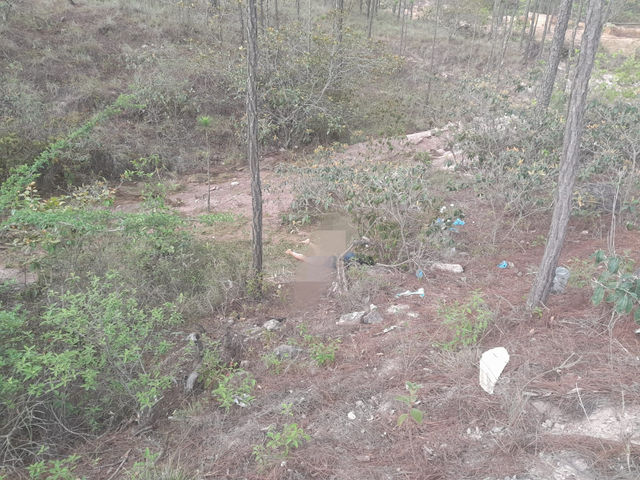 Encuentran cadáver de fémina en Sabana Larga, Nueva Armenia Francisco Morazán