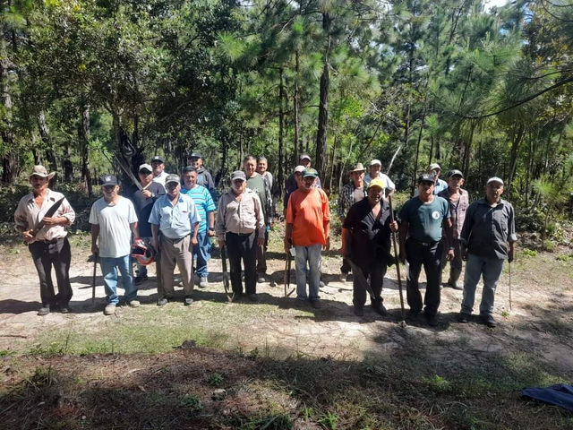 Bonito ejemplo de organización para beneficio comunitario