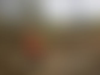 Cuadrilla para contrarrestar incendios en Ojojona, Francisco Morazán, se reporta lista