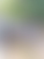 Autoridades de la Venta del Sur F. M. , previenen incendios y van contra "botadores"  de basura