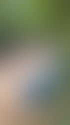 En Las Mesitas, Moradores casi terminan calle pavimentada, pero ya no tienen material solo el deseo