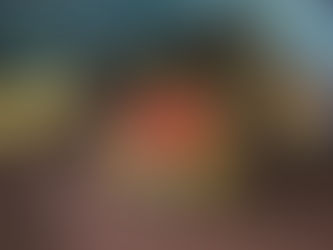 Futuras egresadas de la UPNFM desarrollan importante proyecto como práctica profesional