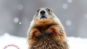 Williams Educational Newsletter (2/26)