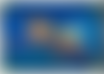 College: A Whole New World