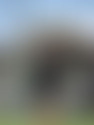 We're Hiring! NRL Casual Game Development Officer