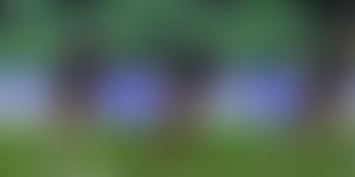 Junior Rep Report- Rounds 16-19 (Men's U21's) 