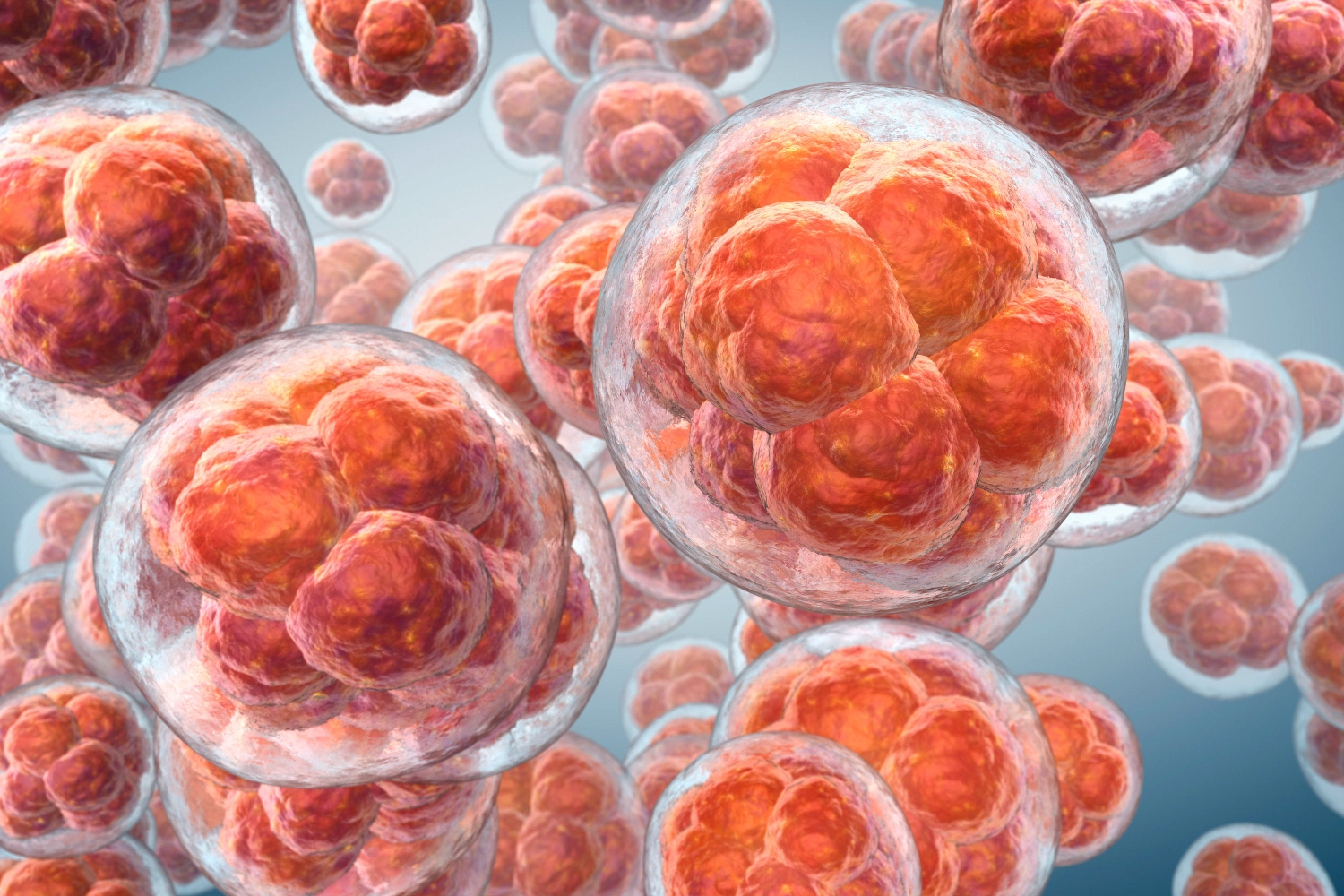 cell-clusters-with-transparent-membrane-on-blue-ba-2026-03-17-21-45-41-utc_edited.jpg