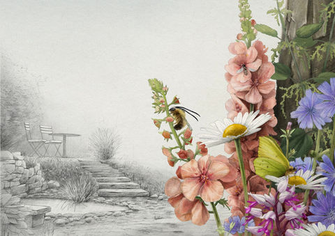 Naturnah Gärtnern: Eine klassische Umsetzung mit farbigen Blumen und Garten-Ideen für potenzielle Kund:innen. Lucy Kägi Illustration