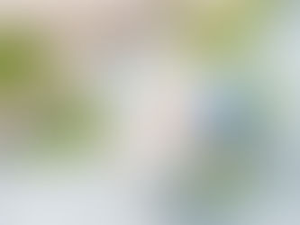 Barrier-first beauty