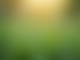 Eco-Friendly Mosquito Treatments: Protecting Your Environment