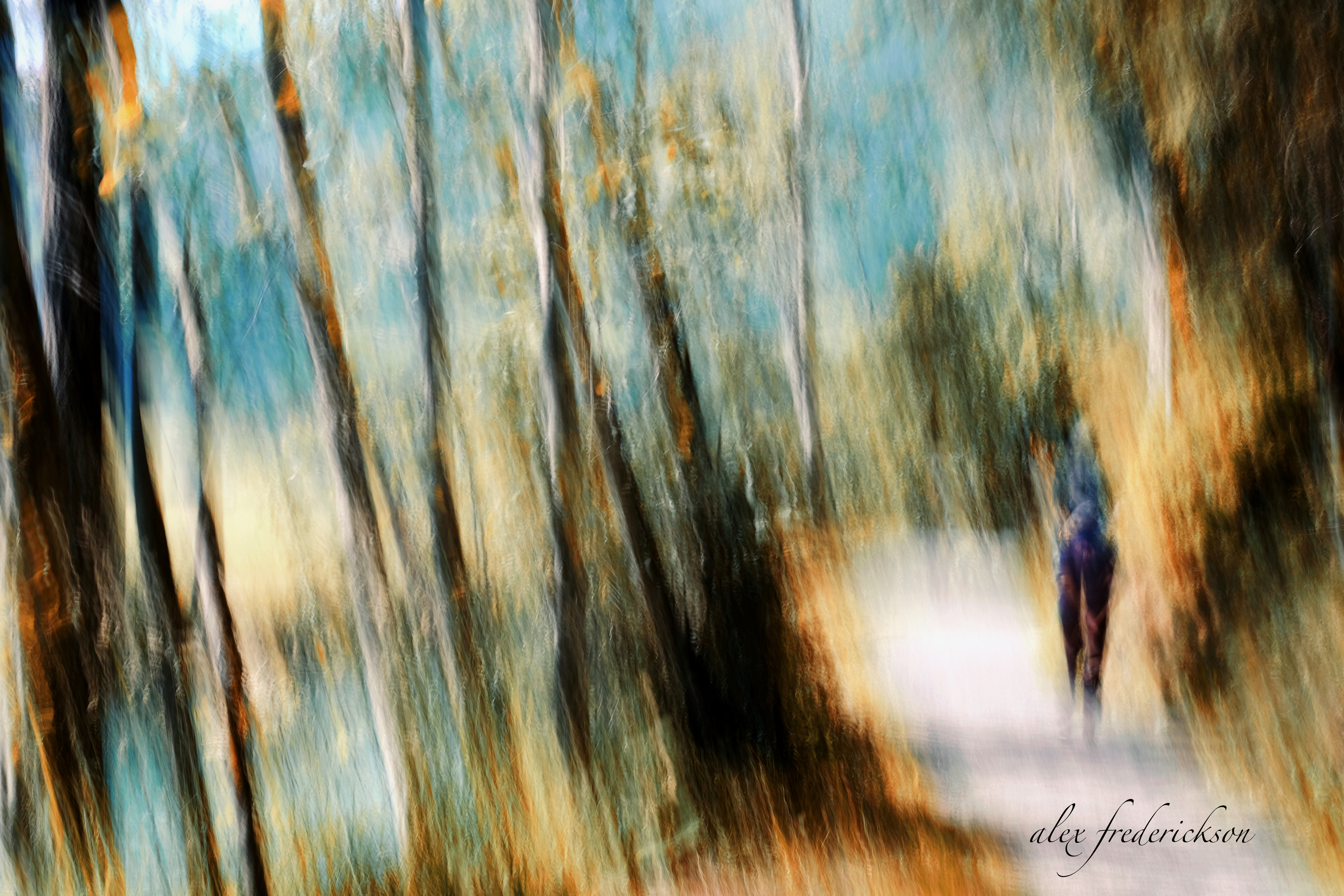 ICM Art Photos & Training