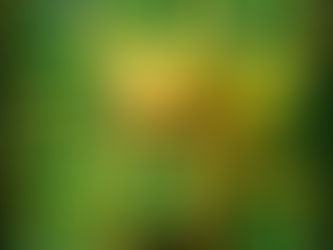 Pokémon Art, Content Creation, and Ai. 

LETS HAVE THE TALK