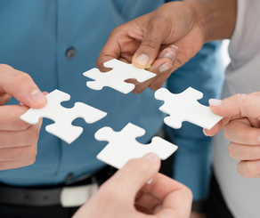 The Network in Action: Bridging the Gap Between Public and Private Programs