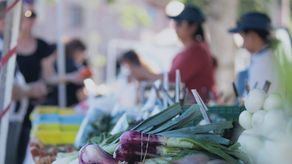 Growing Veteran Connections in the Panhandle