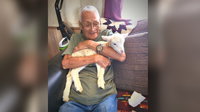 Collaborative Efforts Ensure Continual Support for Navajo Korean War Veteran