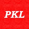 Foto do escritor: Paulista Kart League PKL