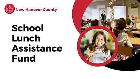 Copy of New Hanover County.png