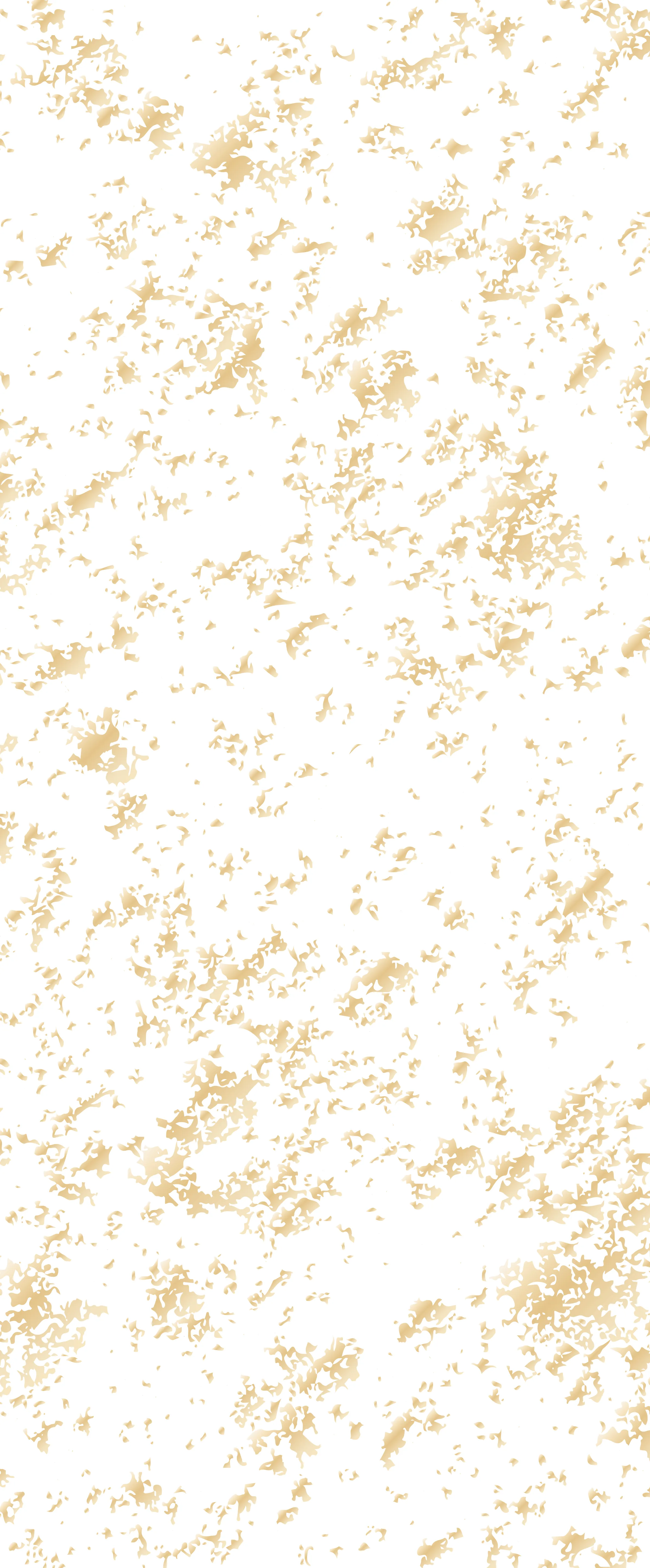 20230118_STUDIO-RENTAL-背景-150%.webp
