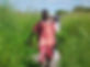 sudan.jpg