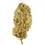 Thumbnail: Exotic cannabis