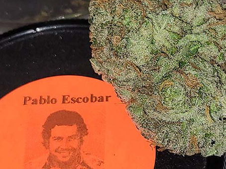 $125 oz of medical grade
$50 oz of designer shake & small buds
Limited qualities
Flash sale.
Reply now & hurry to claim the ones you would like!
Don’t miss this flash sale!