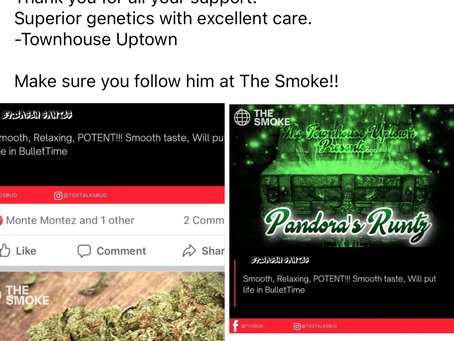 Need seeds or plants?