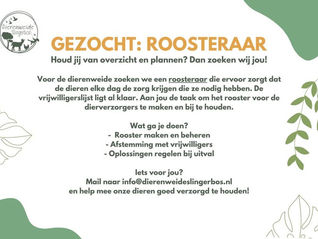 Vacature: roosteraar