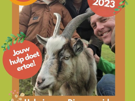 Help jij een handje mee tijdens NLdoet?